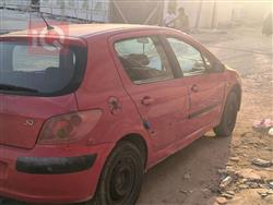 بیجۆ 307